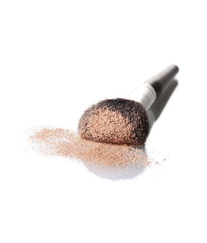 Foundation Brushes