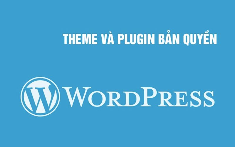 Sử dụng theme và plugin bản quyền