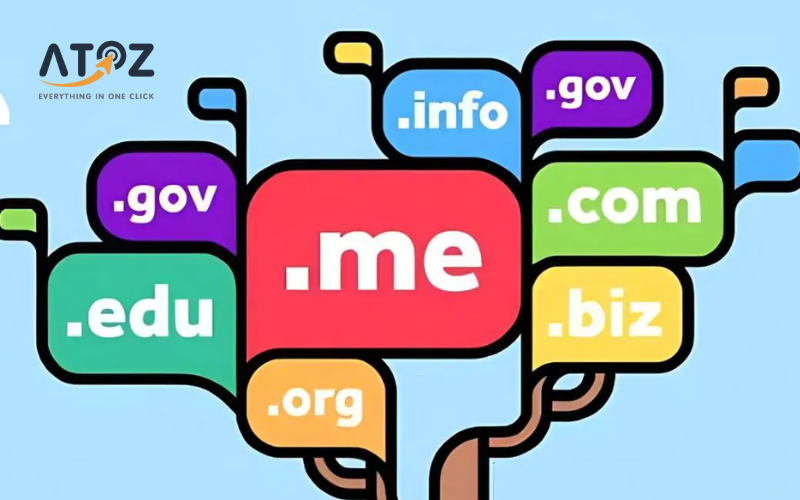 Tên miền (domain name)