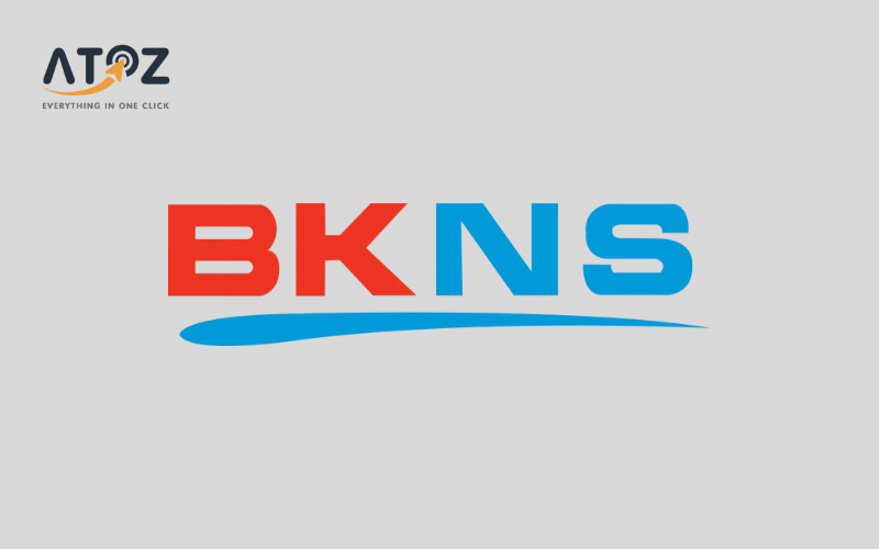 BKNS.vn – Đa dạng tên miền trong nước và quốc tế