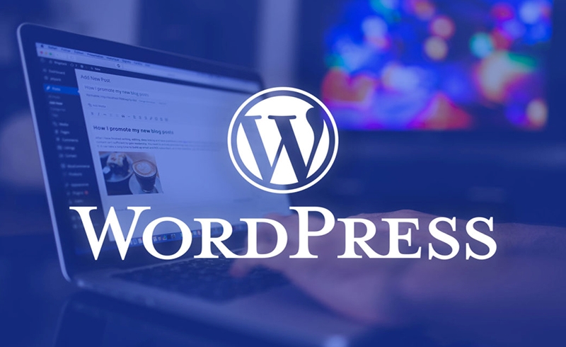 WordPress là nền tảng mạnh mẽ, linh hoạt cho website và blog
