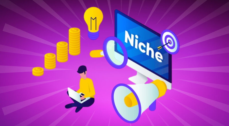 Hướng dẫn tạo Niche Site để bắt đầu kiếm tiền MMO