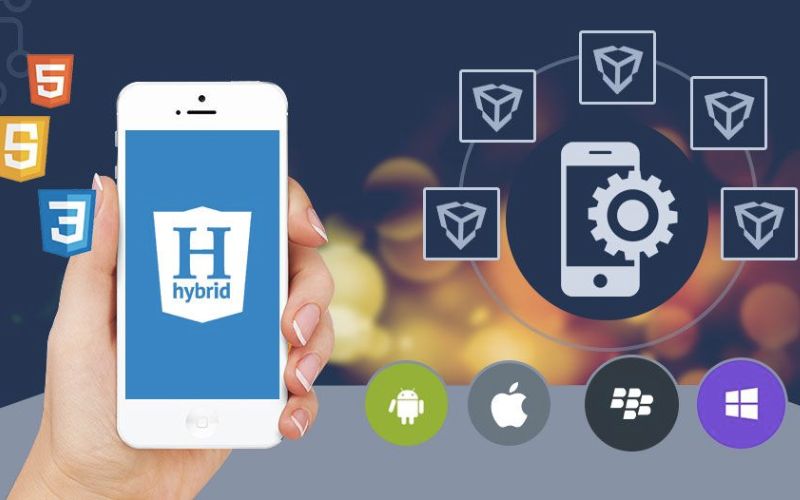 Hybrid Mobile App